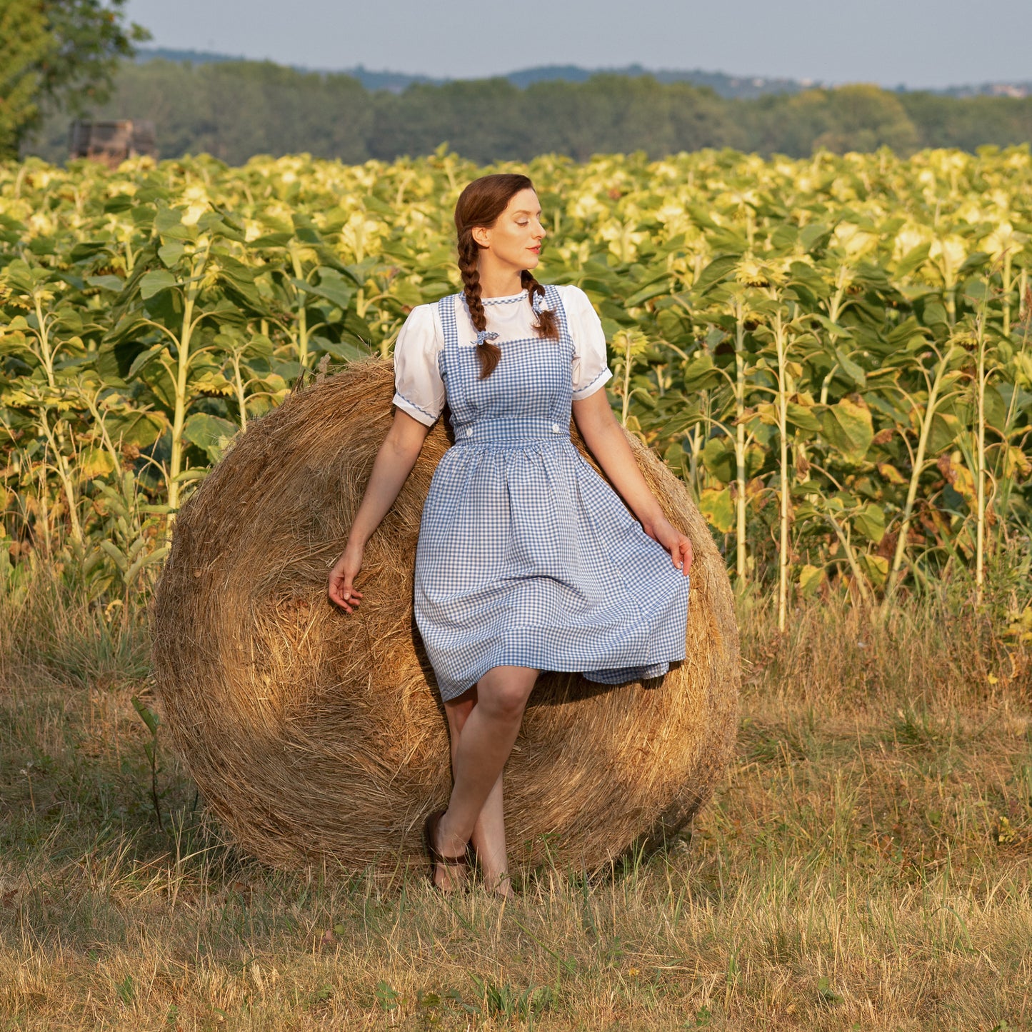 Blaues Oktoberfest-Gingham-Kleid