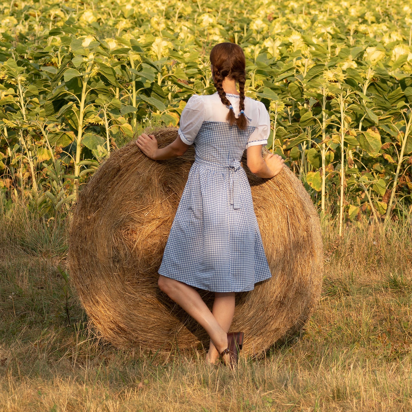 Blaues Oktoberfest-Gingham-Kleid