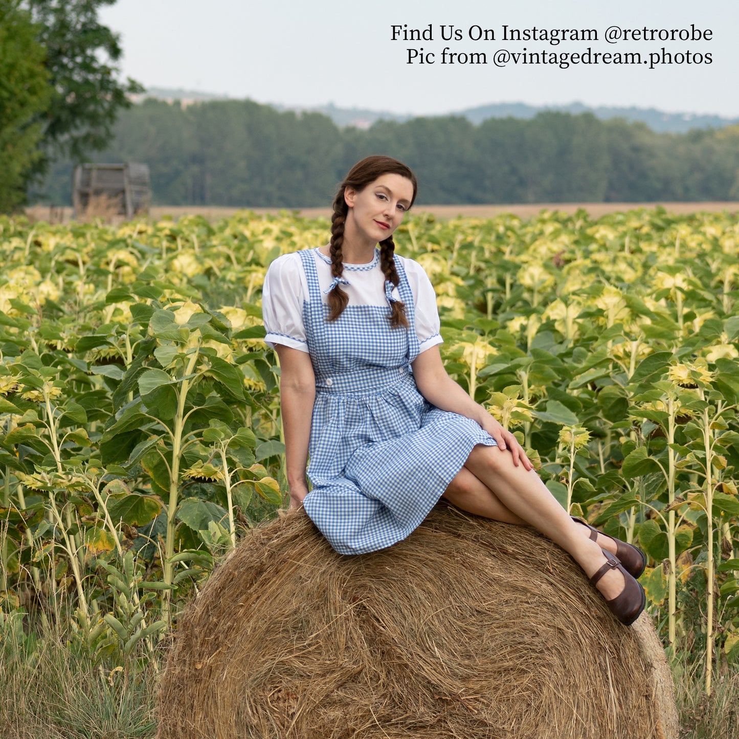 Blaues Oktoberfest-Gingham-Kleid