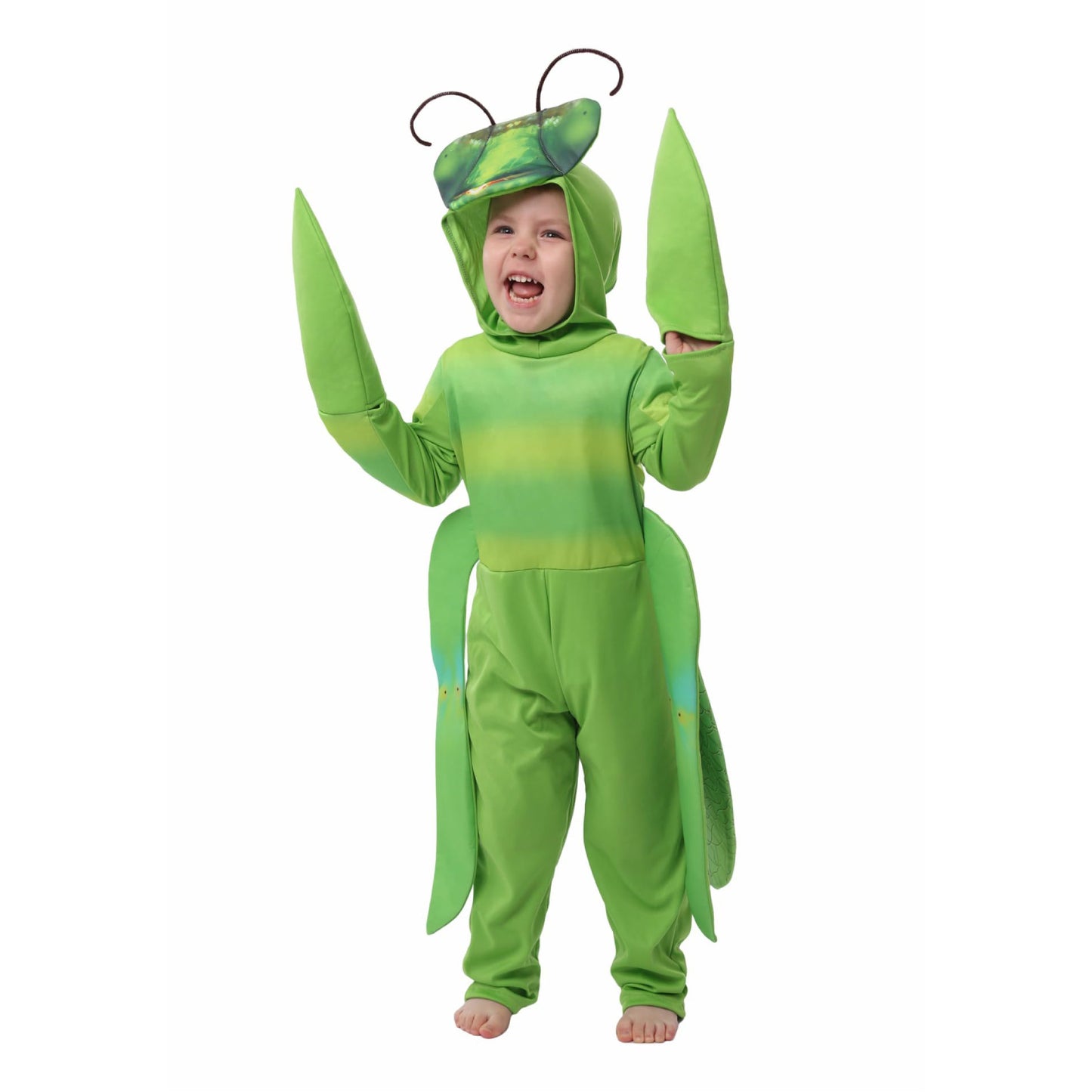 Praying Mantis Halloween Costume