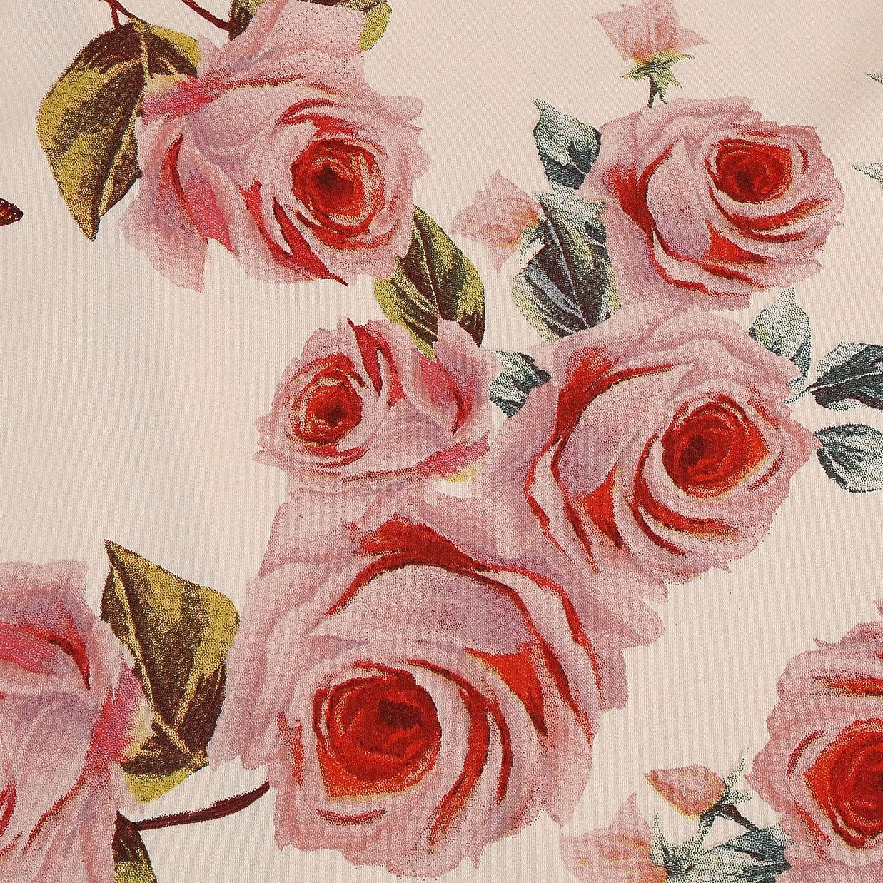 Women's 1950s Pink Rose Floral V-Neck Long Sleeve Flare Dress