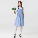 Oktoberfest Blue Gingham Dress - Retrorobe