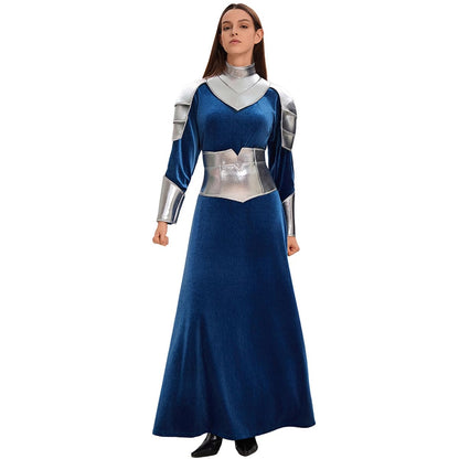 Medieval Warrior Knight Costume