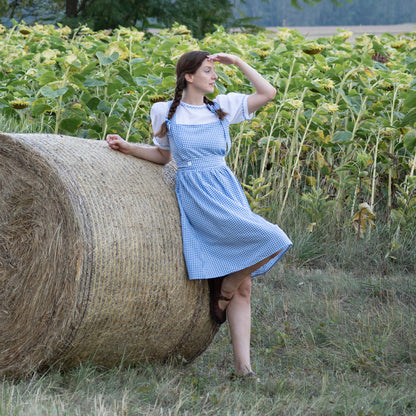 Blaues Oktoberfest-Gingham-Kleid 