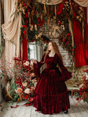 Gothic Victorian Ball Gown