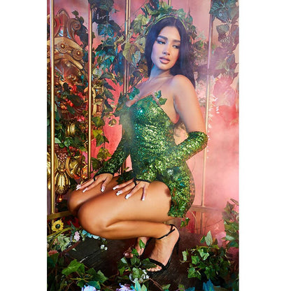 Poison Ivy Cosplay Dress