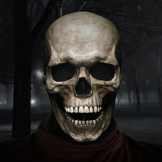 Full Head Skull Mask