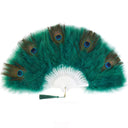 1920s Black Peacock Fan