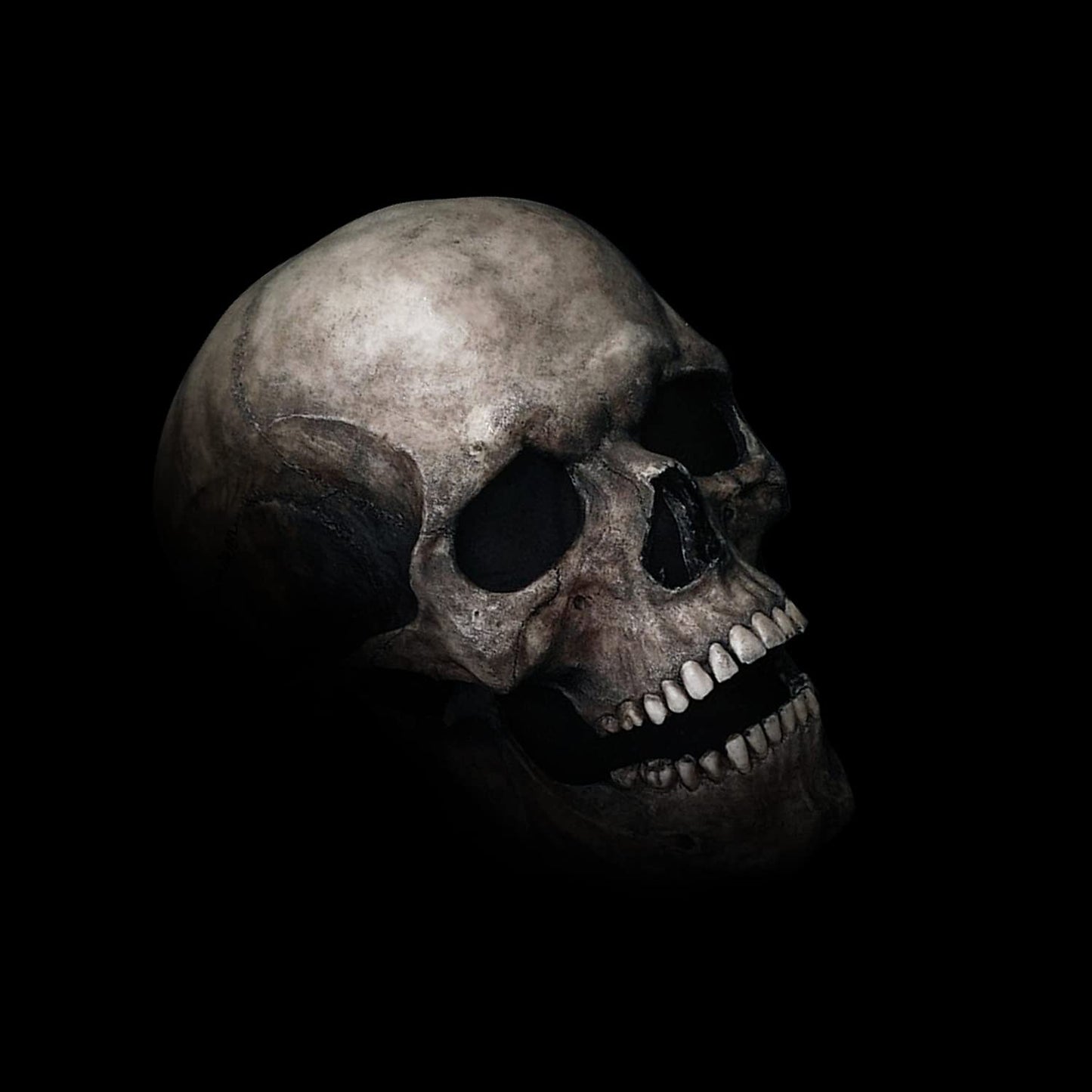 Full Head Skull Mask