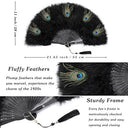 1920s Black Peacock Fan