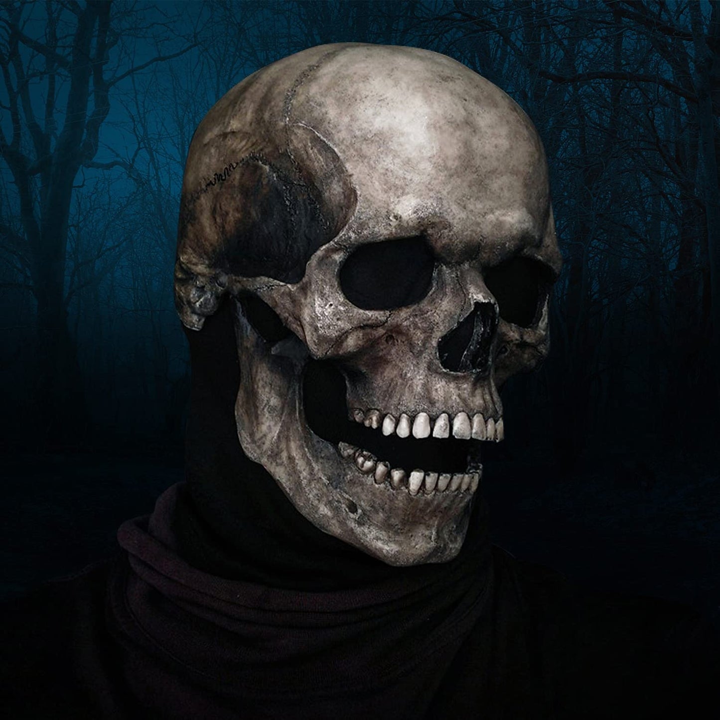Full Head Skull Mask